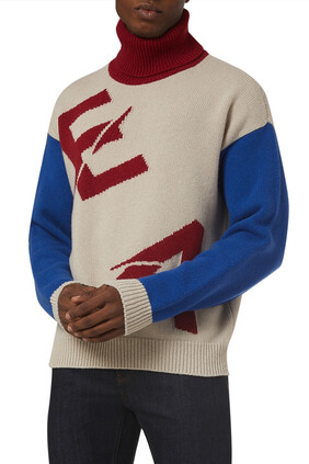 EArctic Capsule Logo Knit Turtleneck Sweater